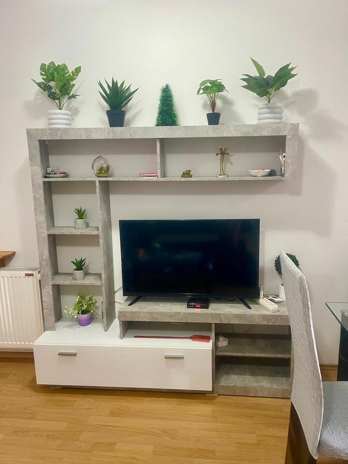 Vila Mija Zlatibor Ngoại thất bức ảnh